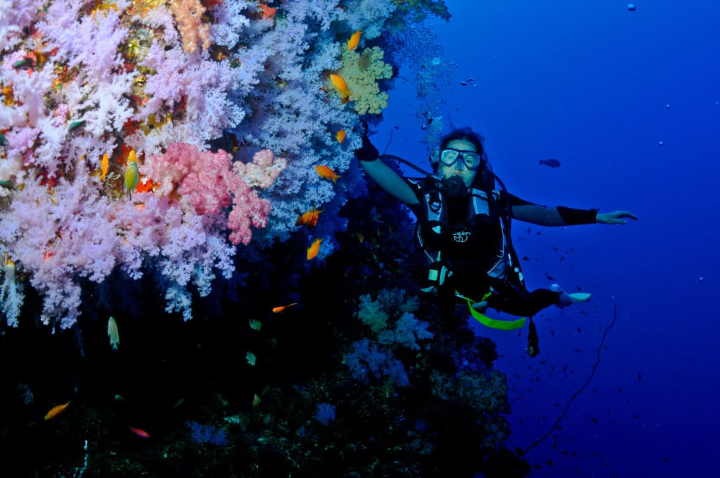 Tui Tai Best diving in Fiji