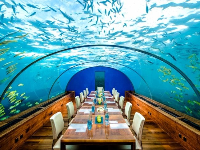 underwater dining at the conrad maldives