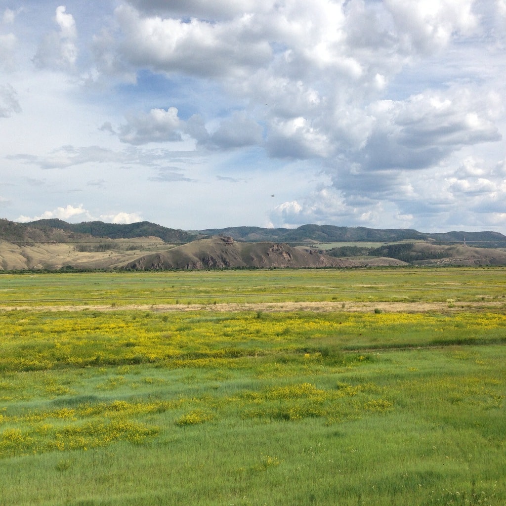 Green fields on the Trans Siberian train journey