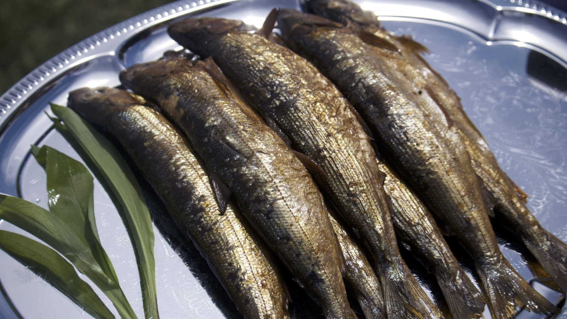 Smoked fish on the Golden Eagle Trans Siberian