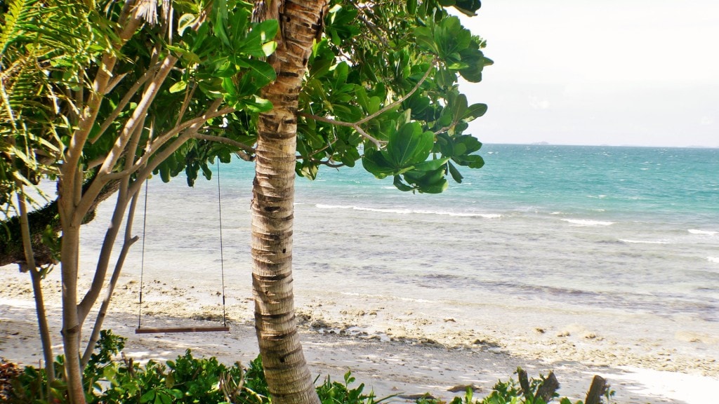 A swing on a palm tree at Nikoi Island