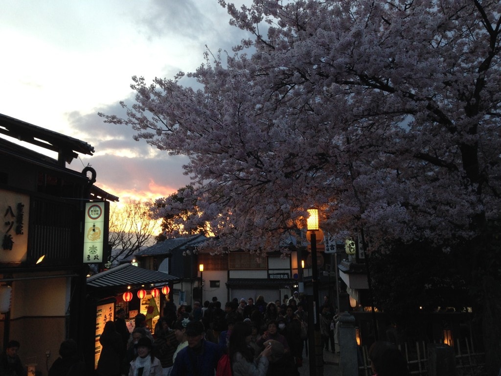 2014 in travel Sakura in Kyoto