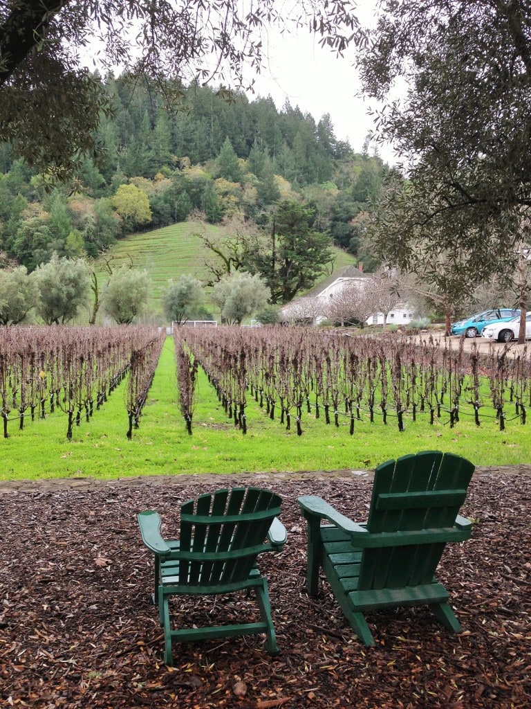 The vineyards