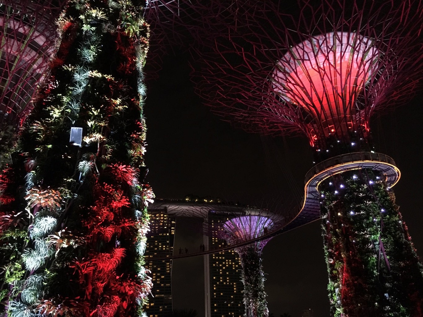 Gardens by the Bay during Chinese New Year in Singapore