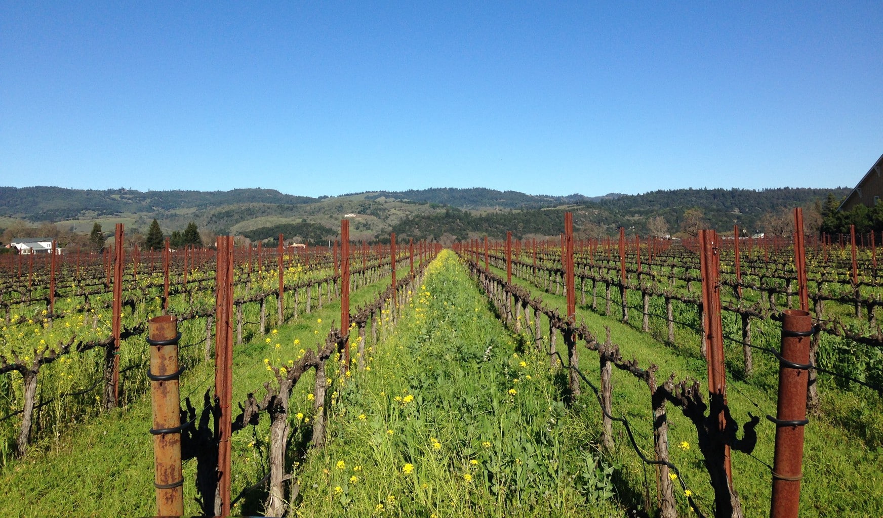 6 alternative things to do in Napa Valley beyond wine tasting