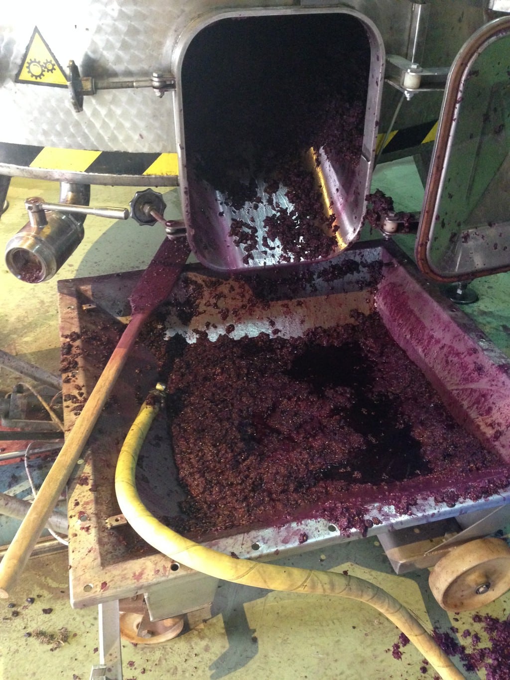 Pressing the grapes