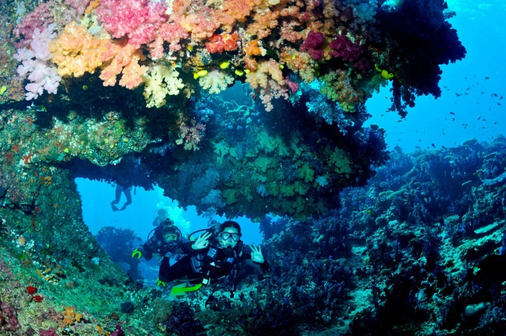 Fiji's diving