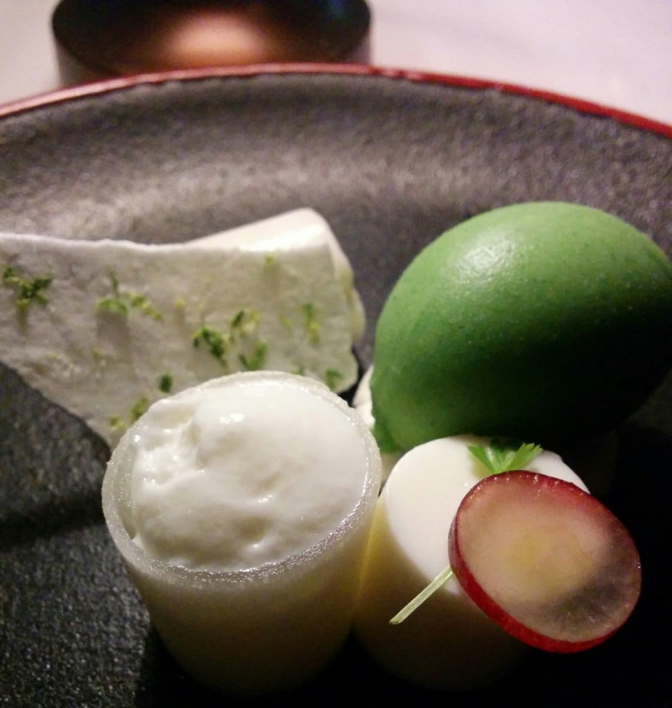 Milk curd panacotta with piel de sapo melon, grapes and mint sorbet