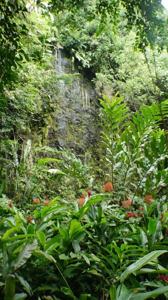 Grotto de Marae