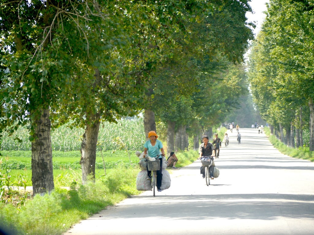 Cycling everywhere