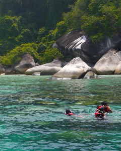 Standing on the corals