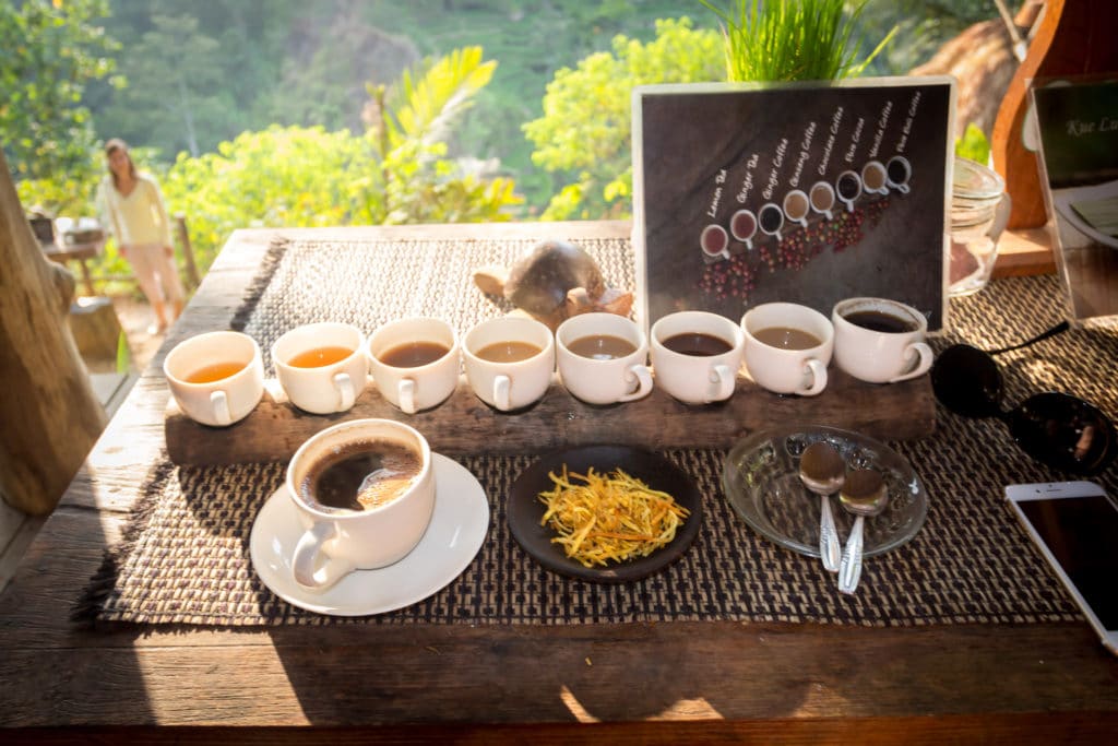Civet coffee Bali
