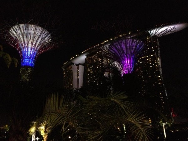 Super Trees Gardens by the Bay