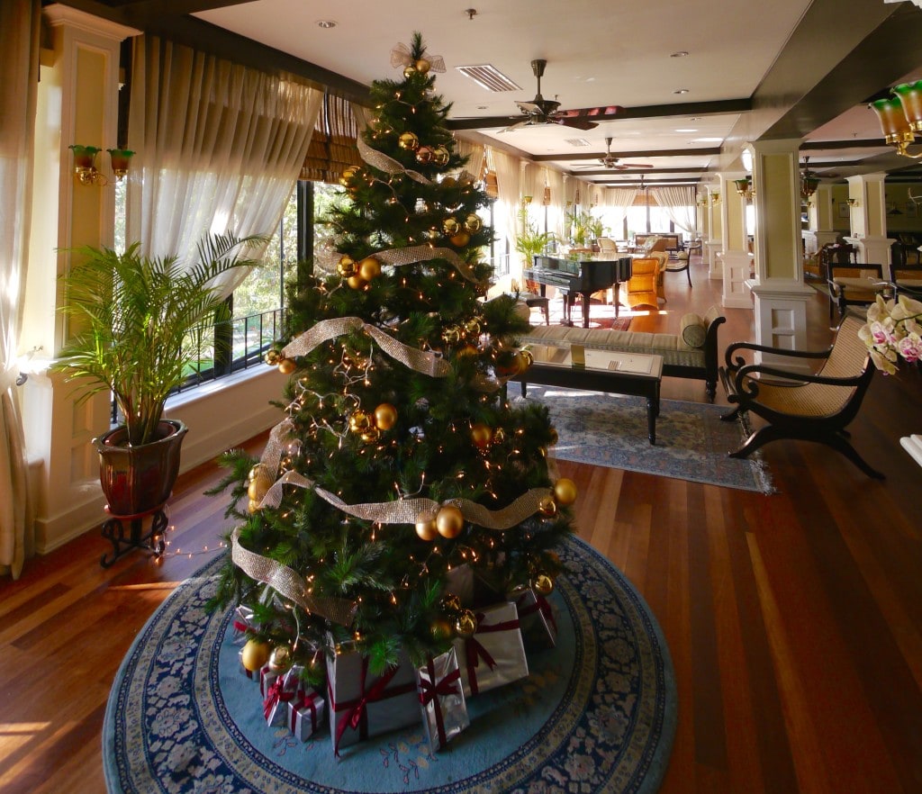 Christmas tree, Cameron Highlands