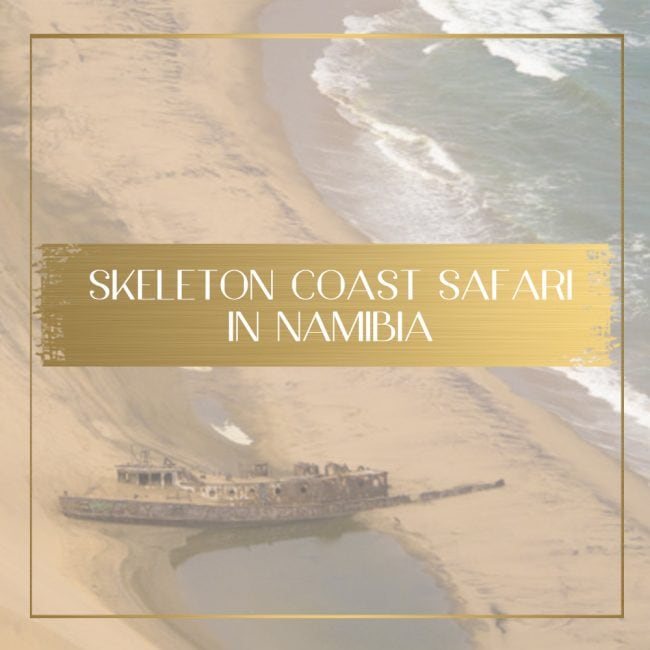 Skeleton Coast Safari feature