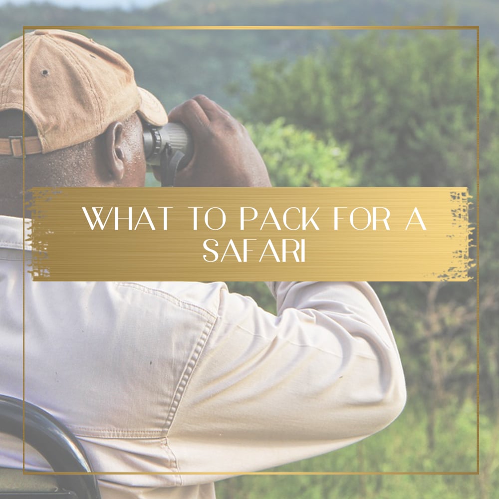 What to pack for a safari feature