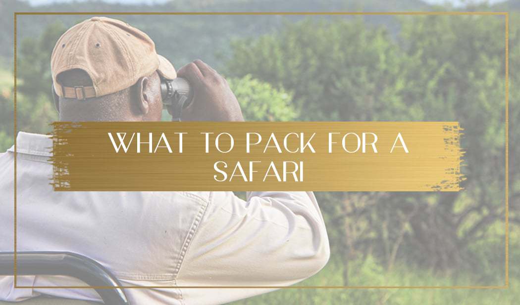 What to pack for a safari main