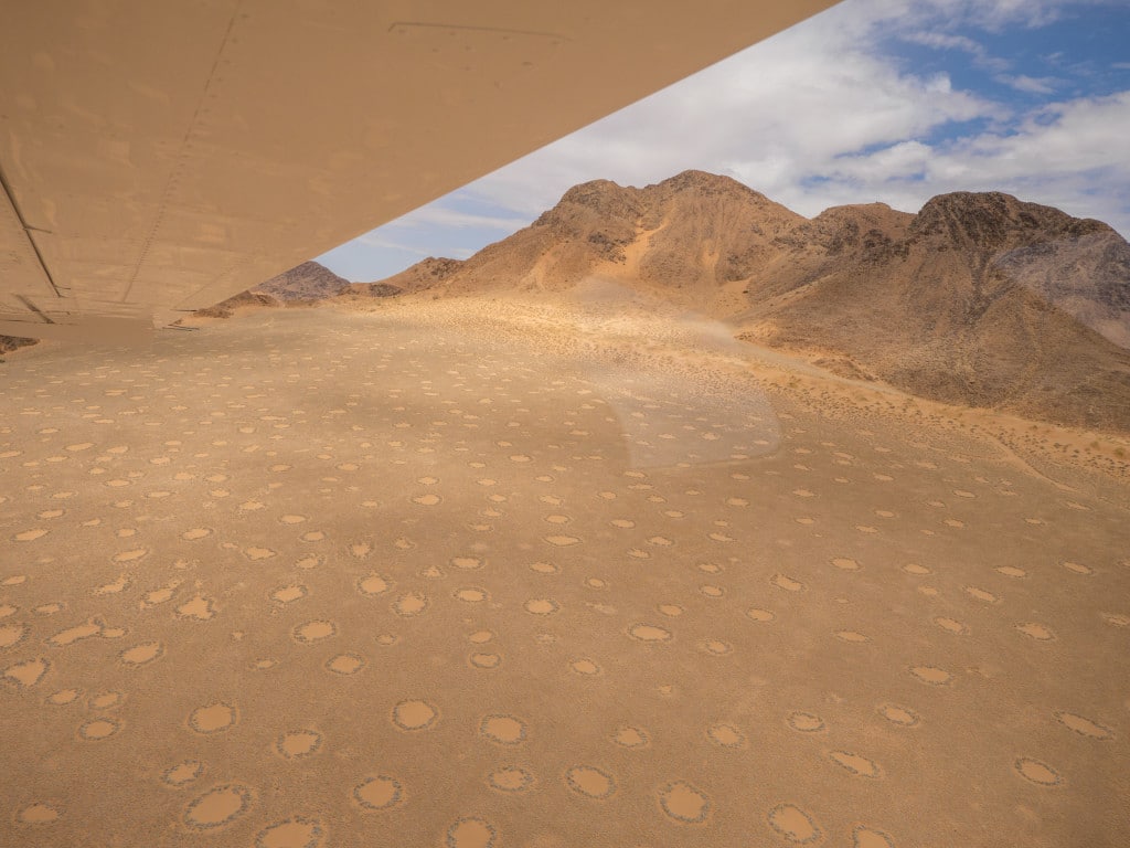 Fairy's circles