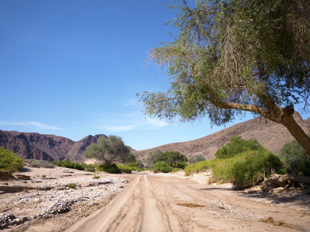 Path in the desert