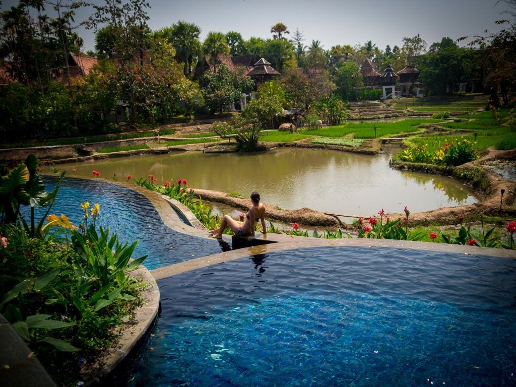 Dhara Devi Chiang Mai review pool and rice paddies