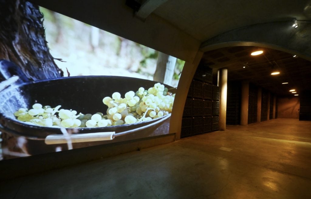 Top wineries near Barcelona to visit in 2020 - Best wine and cava tours