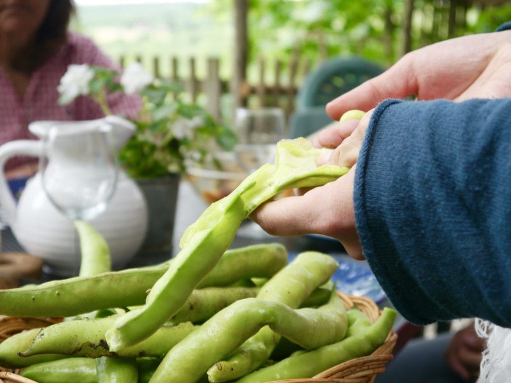 Fava beans