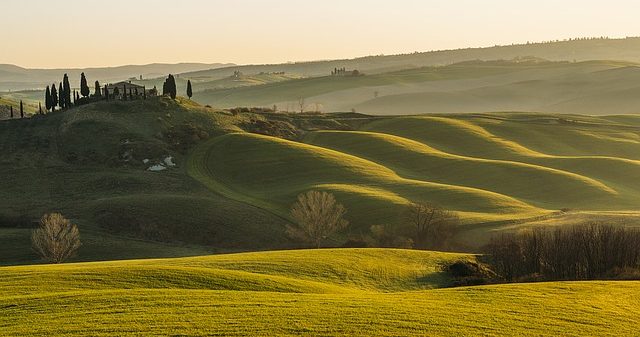 "Tuscan landscapes"