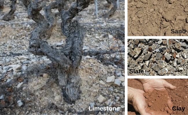 The soils of DO Montsant