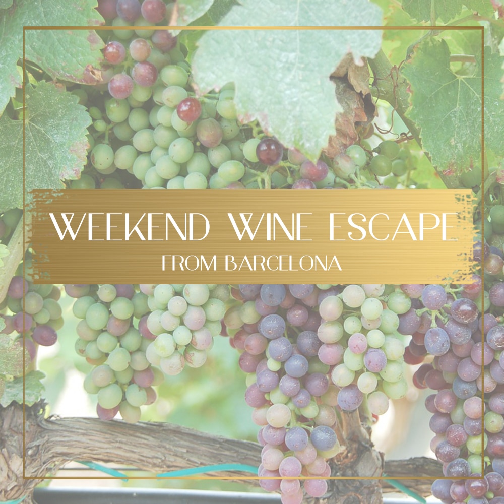 Top wineries near Barcelona to visit in 2020 Best wine and cava tours