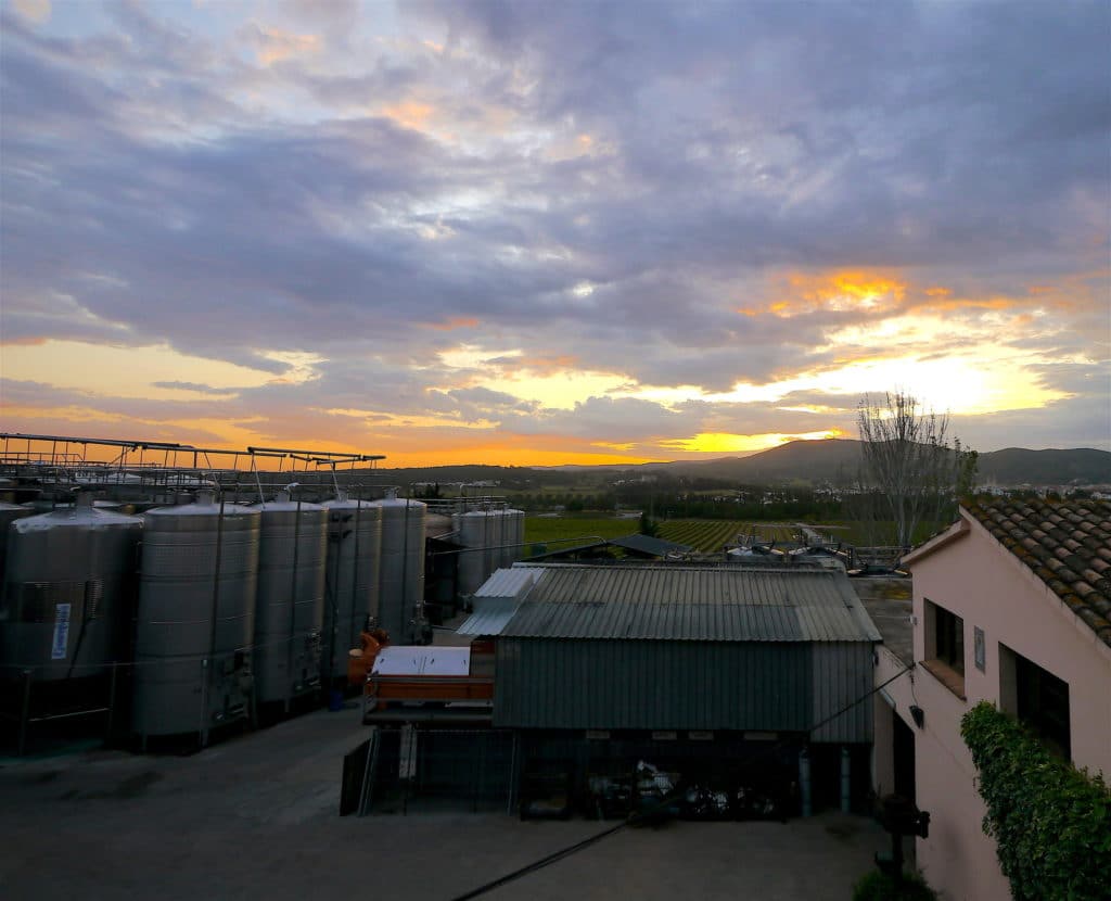 Sunset at my dad's winery