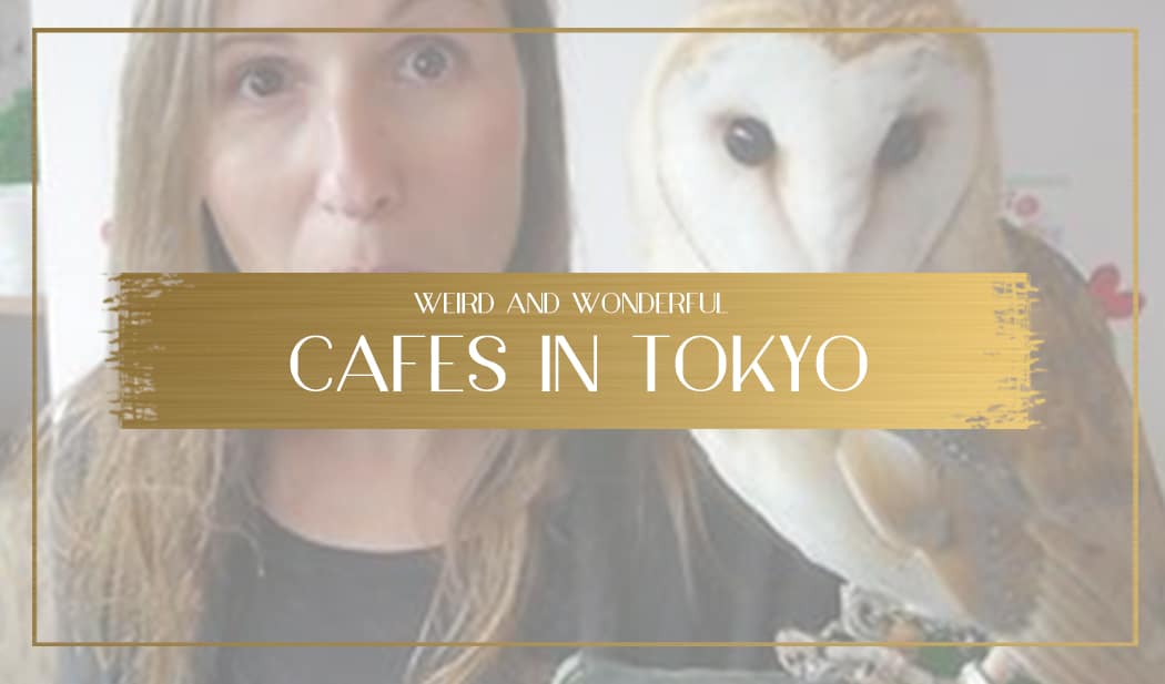 Cafes in Tokyo main