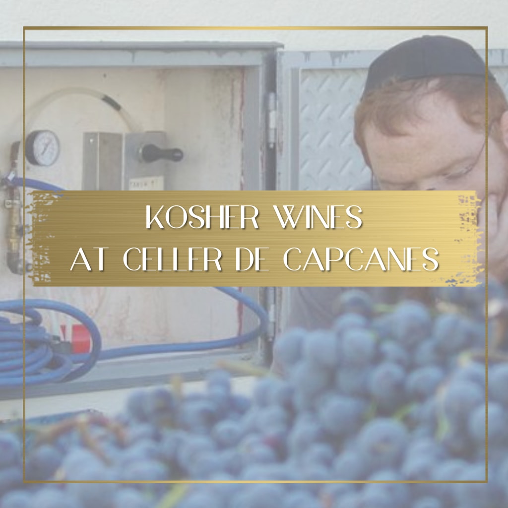 Learning about Kosher wines at Celler de Capcanes feature