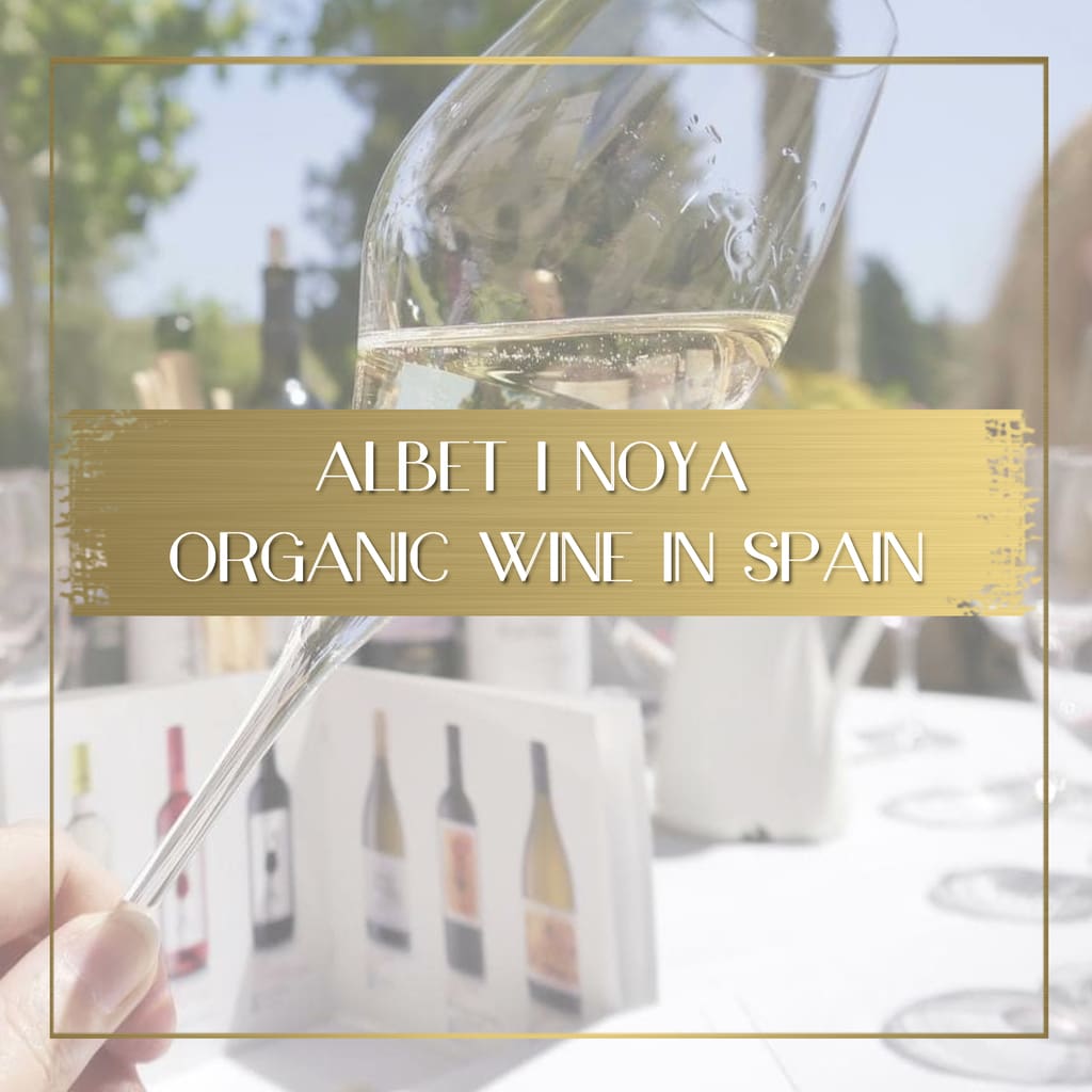 Albet i Noya Organic Wine in Spain feature