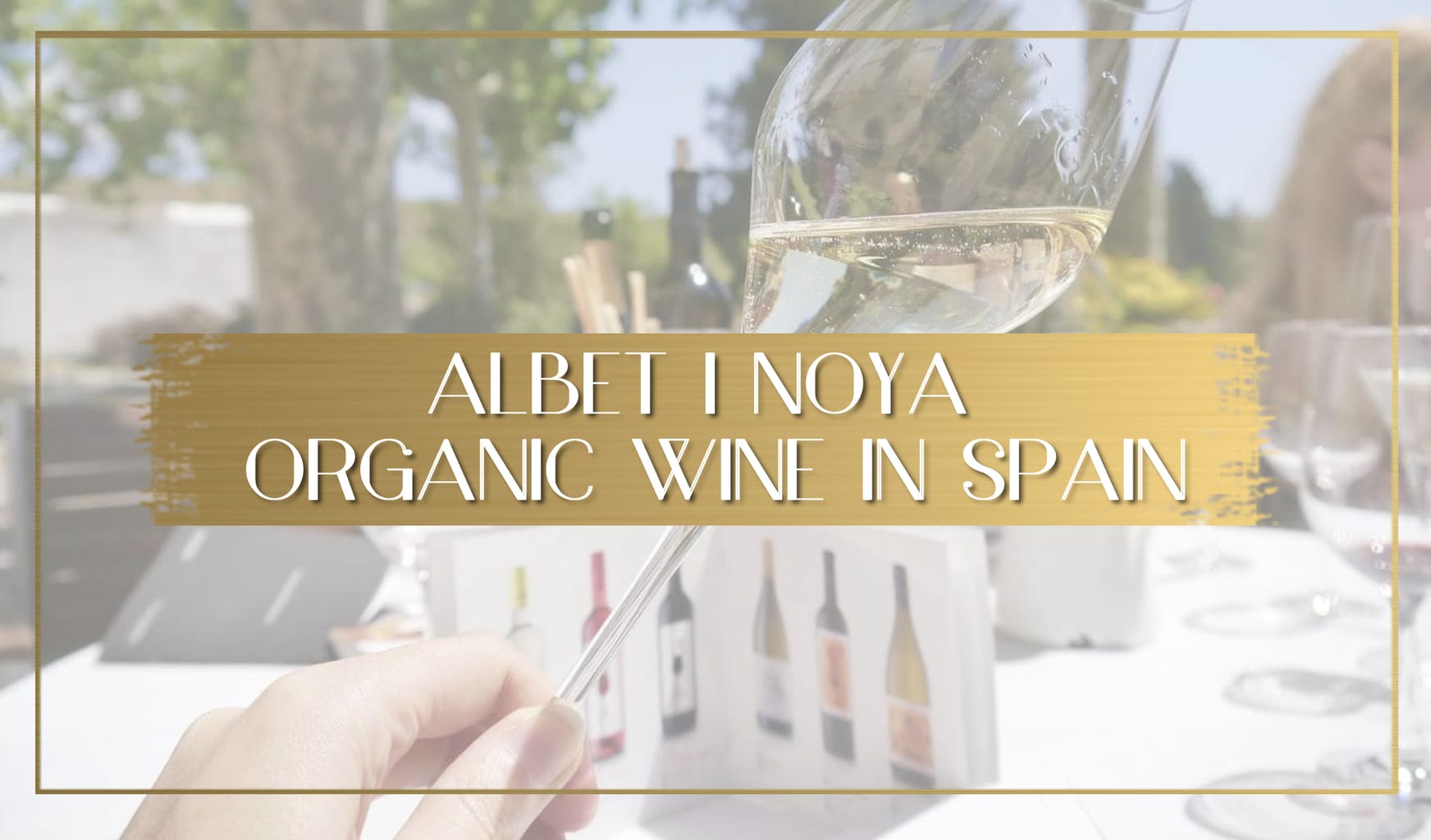 Albet i Noya Organic Wine in Spain main