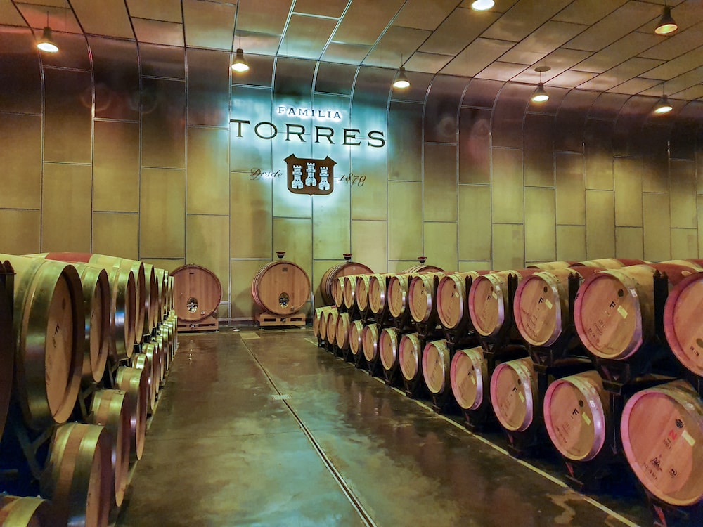 torres wine visit