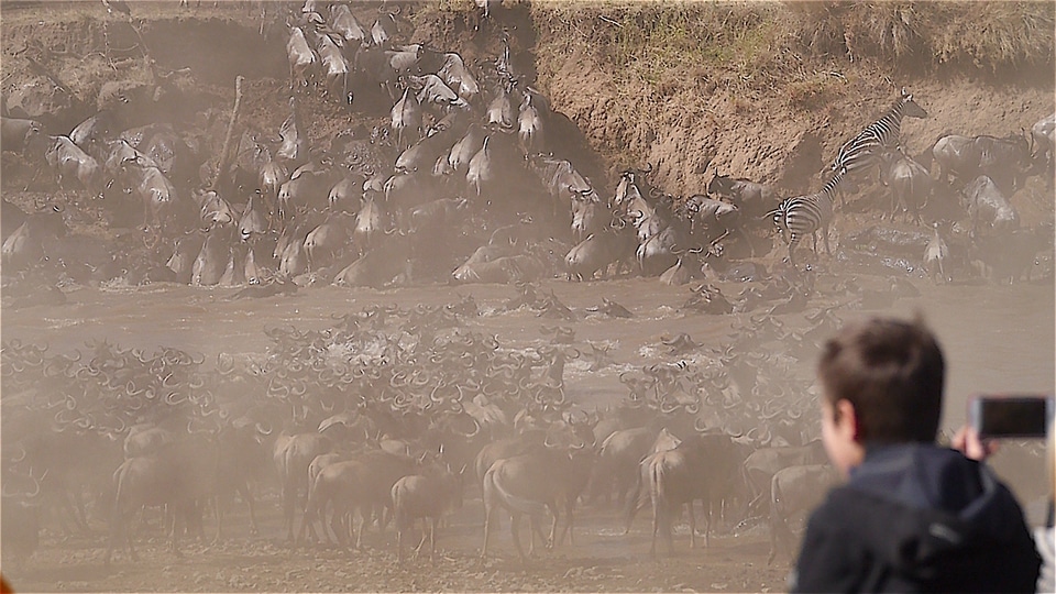 Watching The Great Migration at one of Kenya's best parks