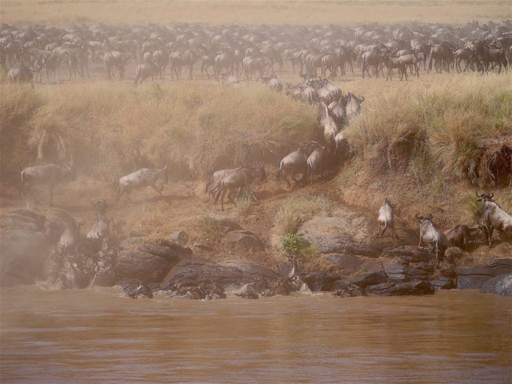 Planning a Great Migration safari on the Maasai Mara