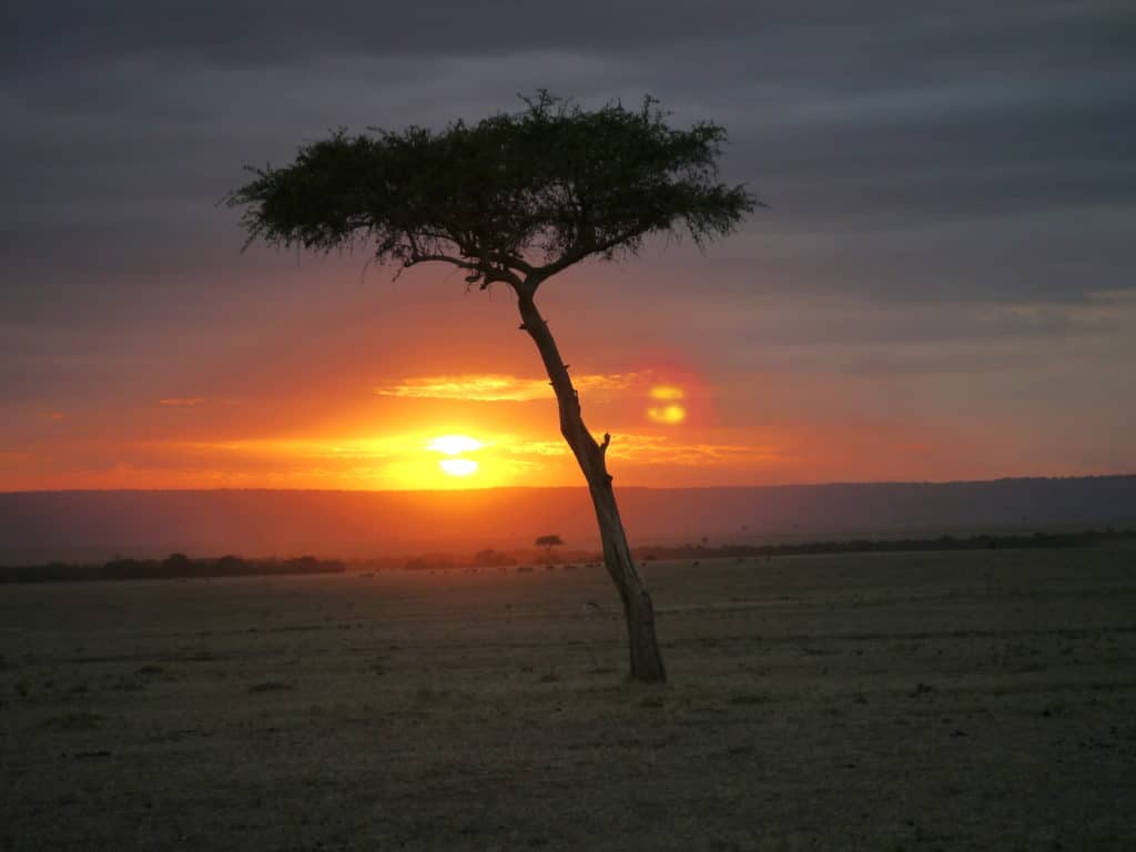 Sunset over Masai Mara