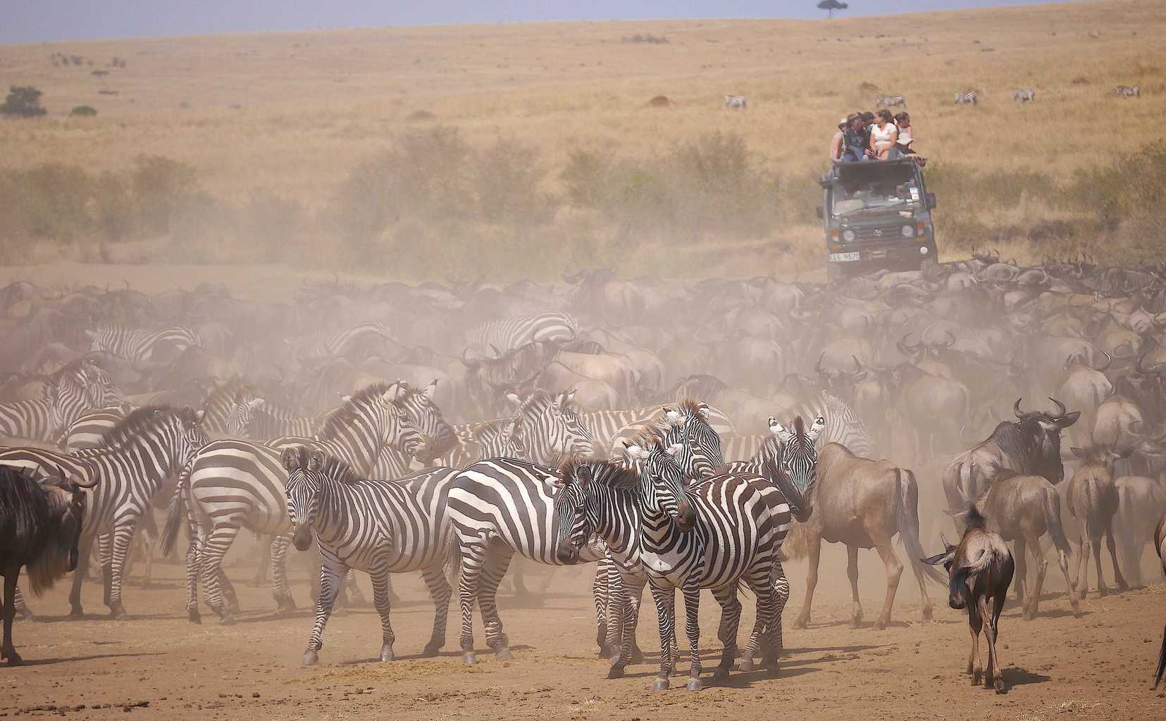 Oldest safari company at Masai Mara