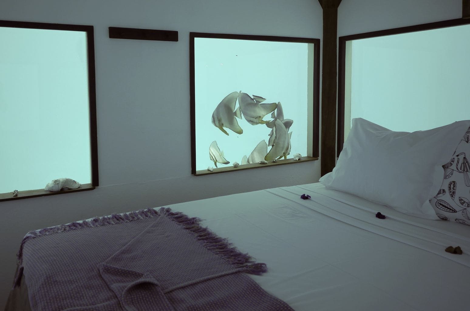 Review Of The Underwater Room At The Manta Resort Tanzania