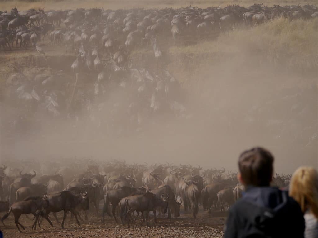 Masai Mara Great Migration