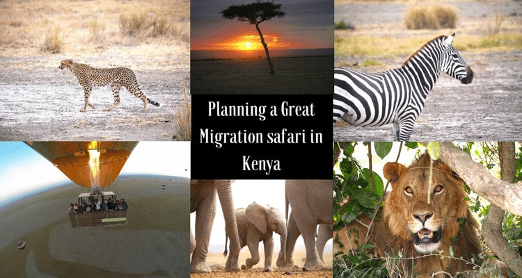 Planning a Great Migration safari