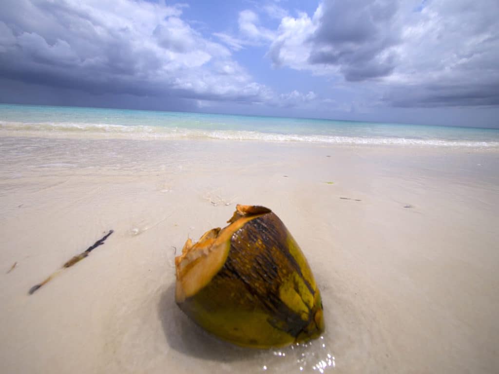 The Manta Resort beach