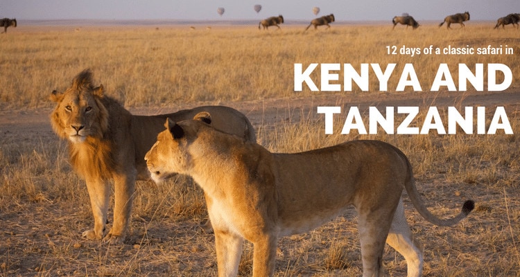 Classic safari in Kenya