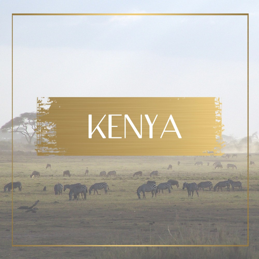 Destination Kenya