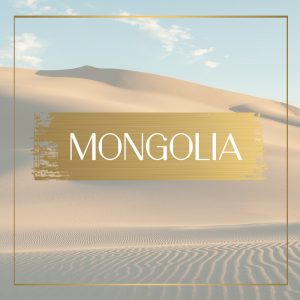 Destination Mongolia