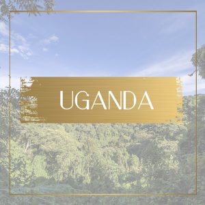 Destination Uganda