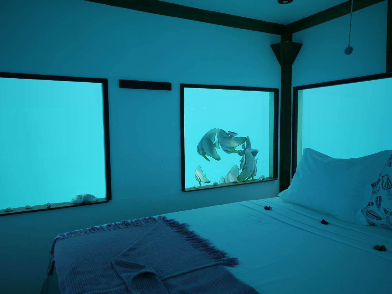 The unchanging charm of Pemba Island off the coast of Zanzibar