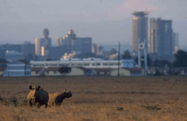 Nairobi National Park. Source: Nairobi National Park