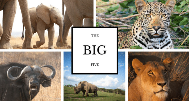 "The Big Five"